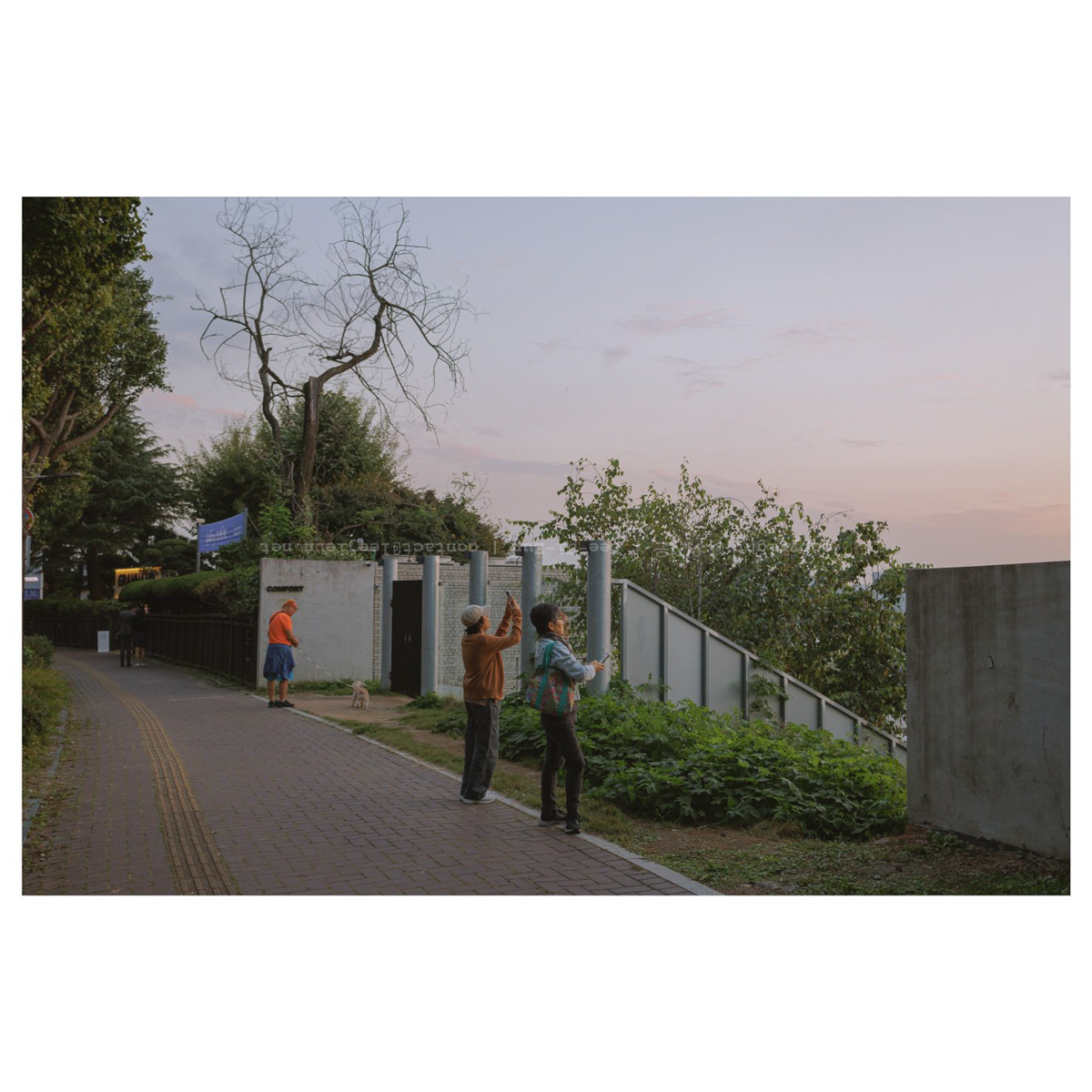 지는 해를 본다