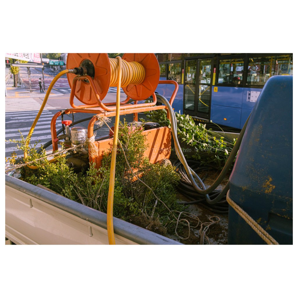 #030. 아름다운 가을 등굣길