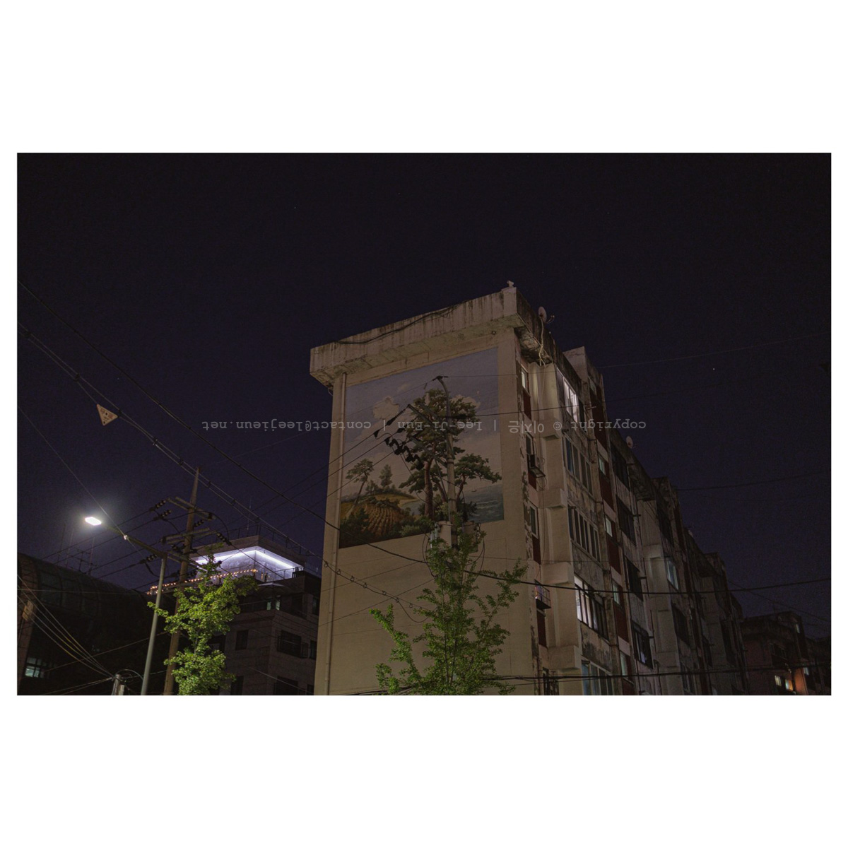 아파트 외벽의 나무그림과 그 앞의 나무