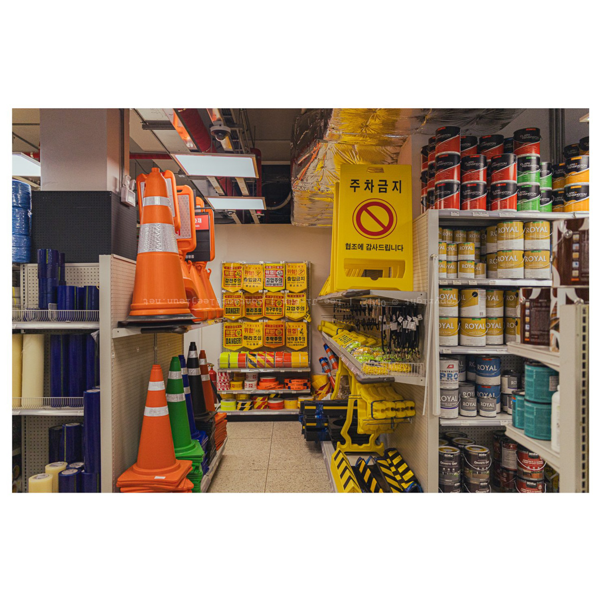 좋아하는 색 다모였다