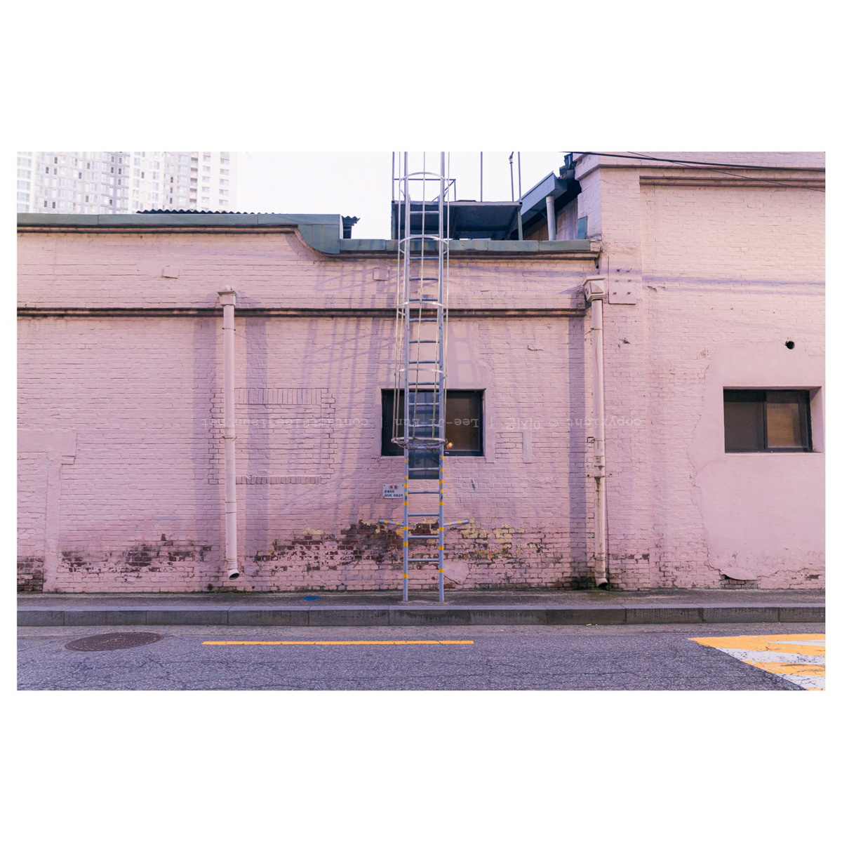 웨스 엔더슨 필름 컬러의 오리온 공장