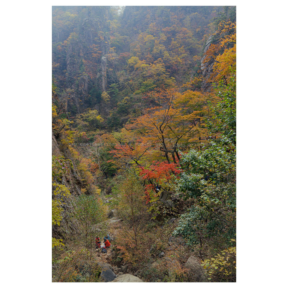 어디선가 폭포가 흐르면 