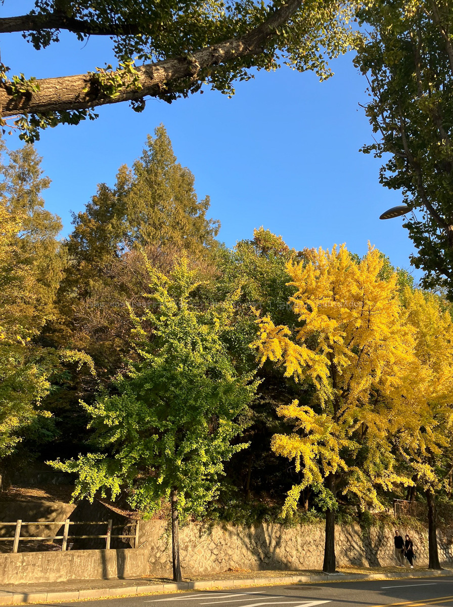 #031. 결혼식과 전시회와 산책