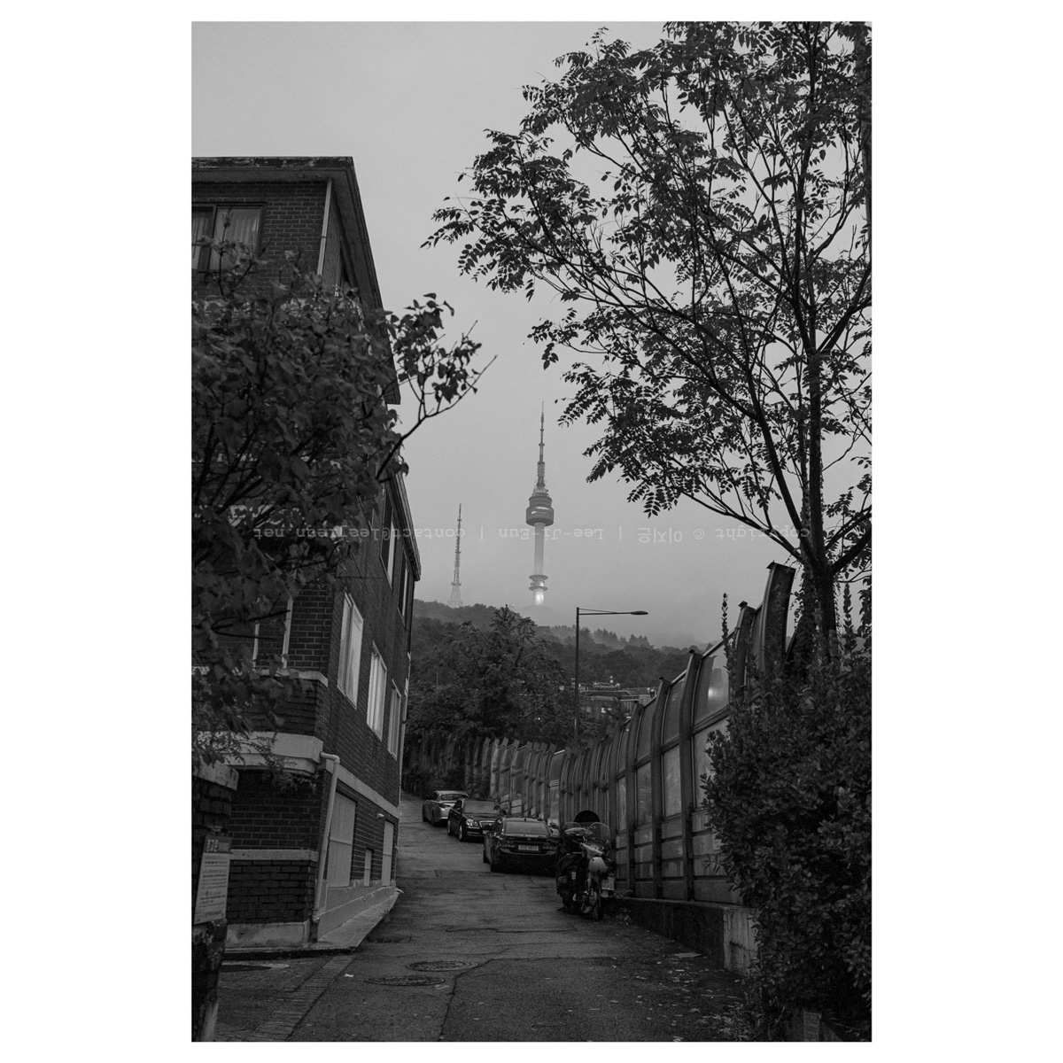 남산타워 안개효과