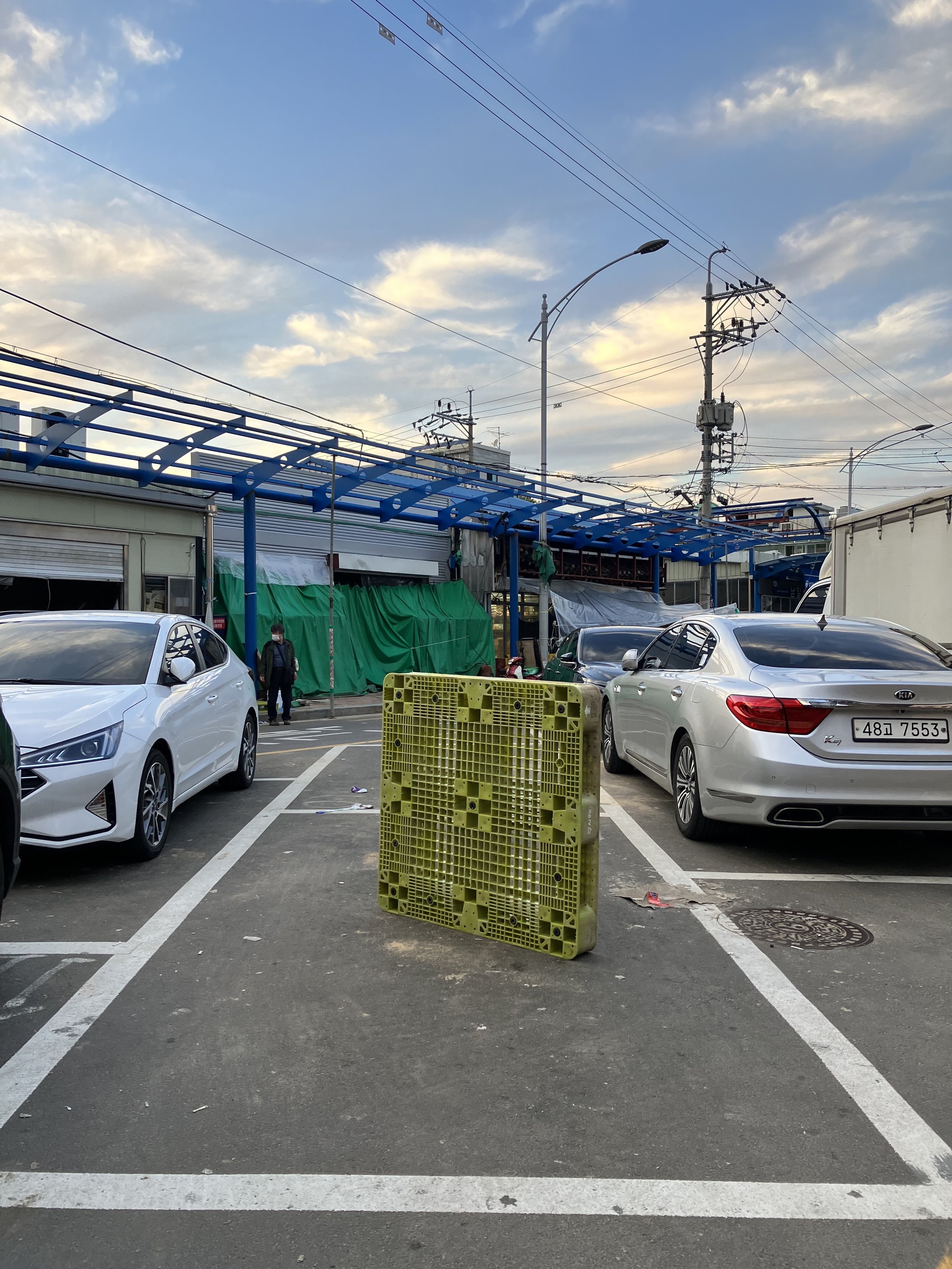 그리고 완두콩색