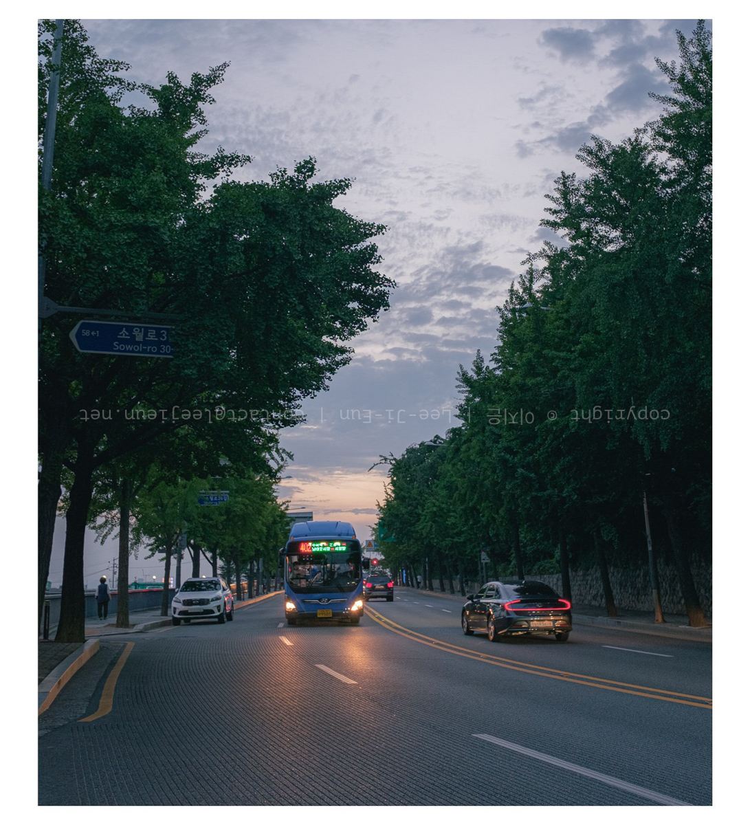 그나마 하루 한 번 산책