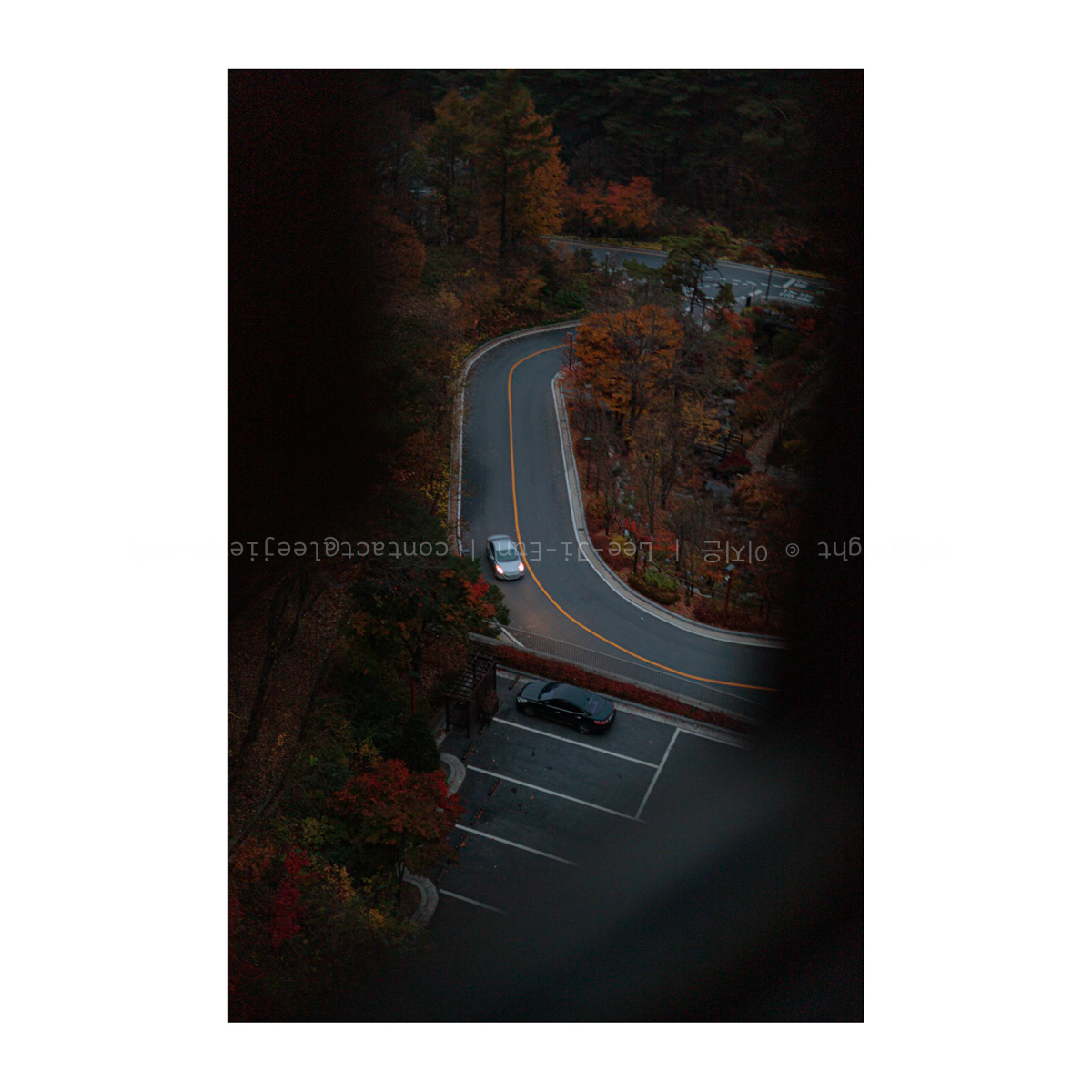 새벽에 리조트로 올라오던 차