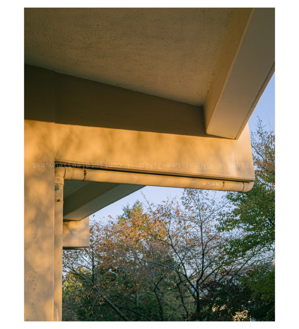 #052. 늦가을 몇순간