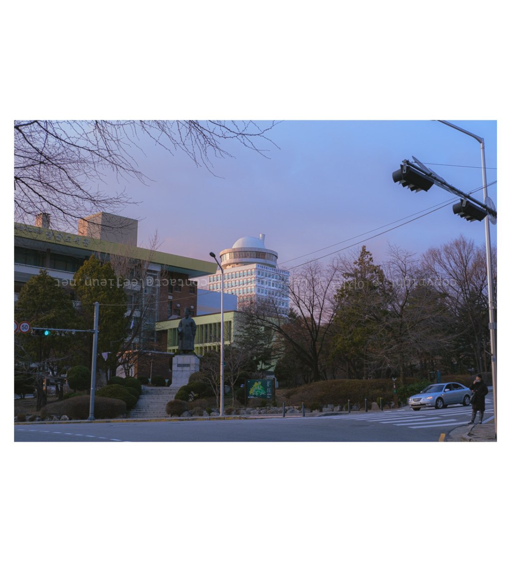 #054. 20년 3월 사진: 반추와 반성, 다른 선택, 더 나은 길. 네가 있어서 빛날 자리를 찾으라.