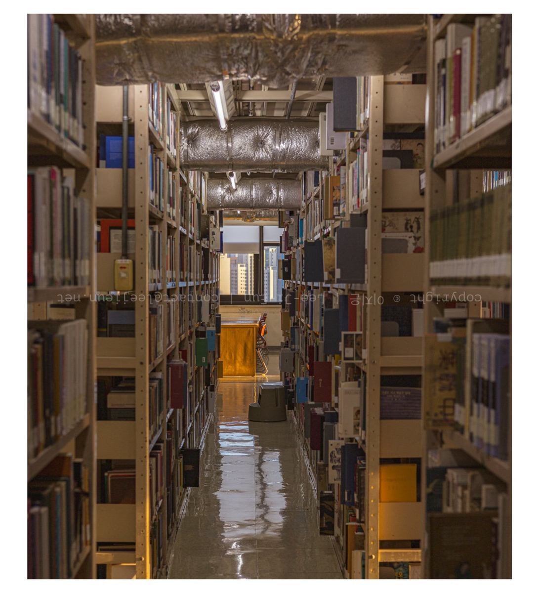 좋아하는 장소. 학교 도서관. 오후 4시