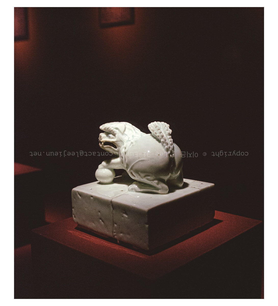 우리집 고양이 궁뎅이 느낌