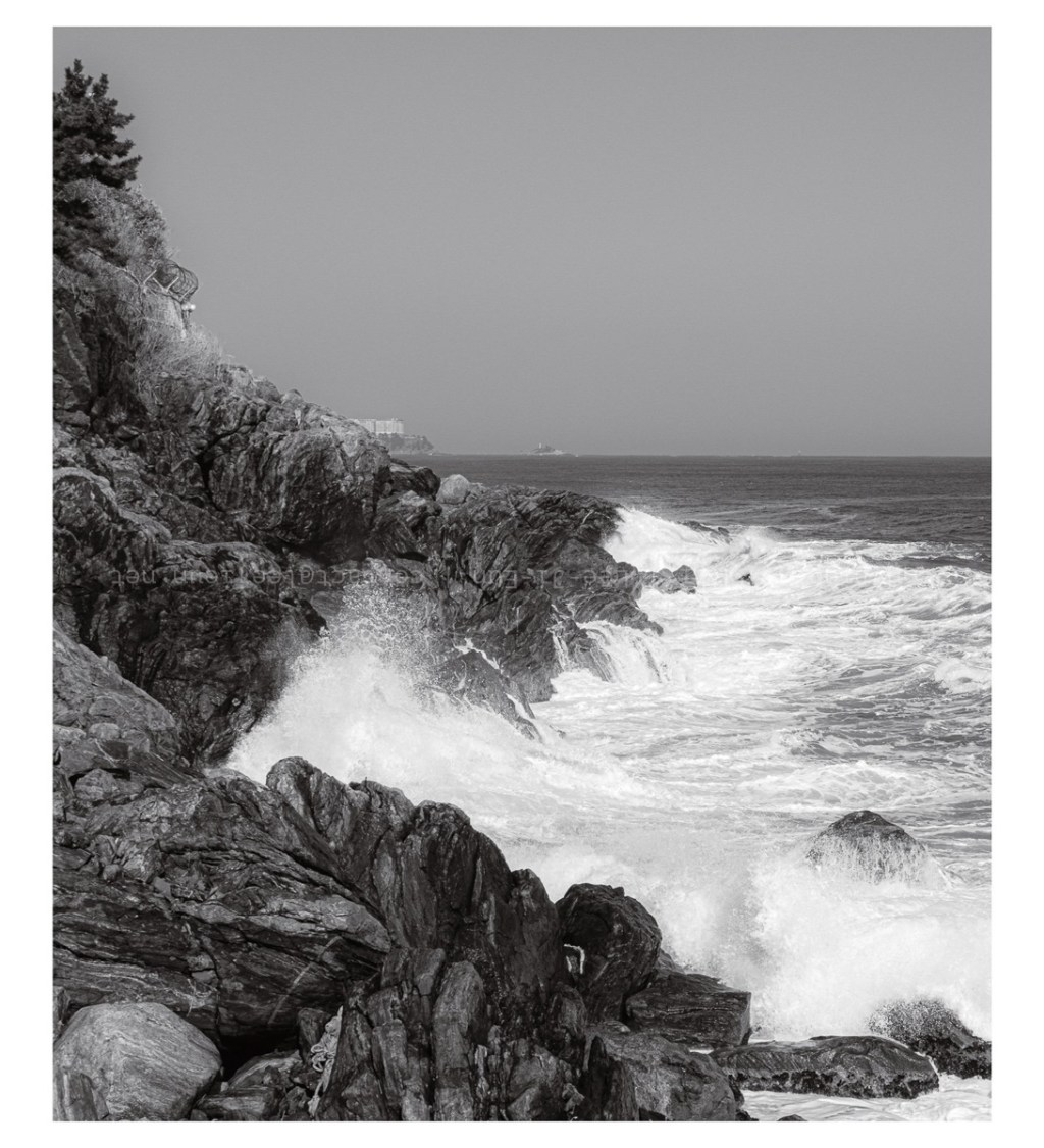 #053. 2020년도의 1월과 2월