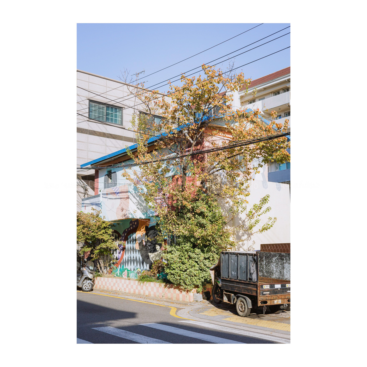 나무와 기계, 둘 다 좋아.