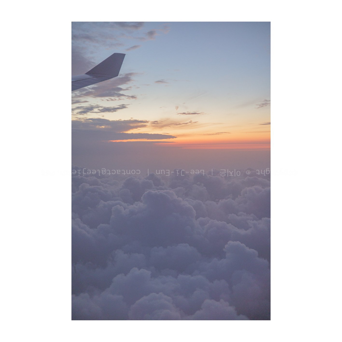 올망졸망 조용하게 기다리는