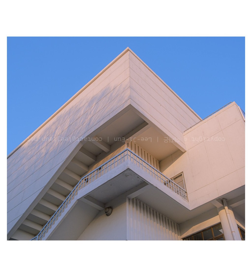 #057. 20년 4월: 코로나 중 첫 식목일