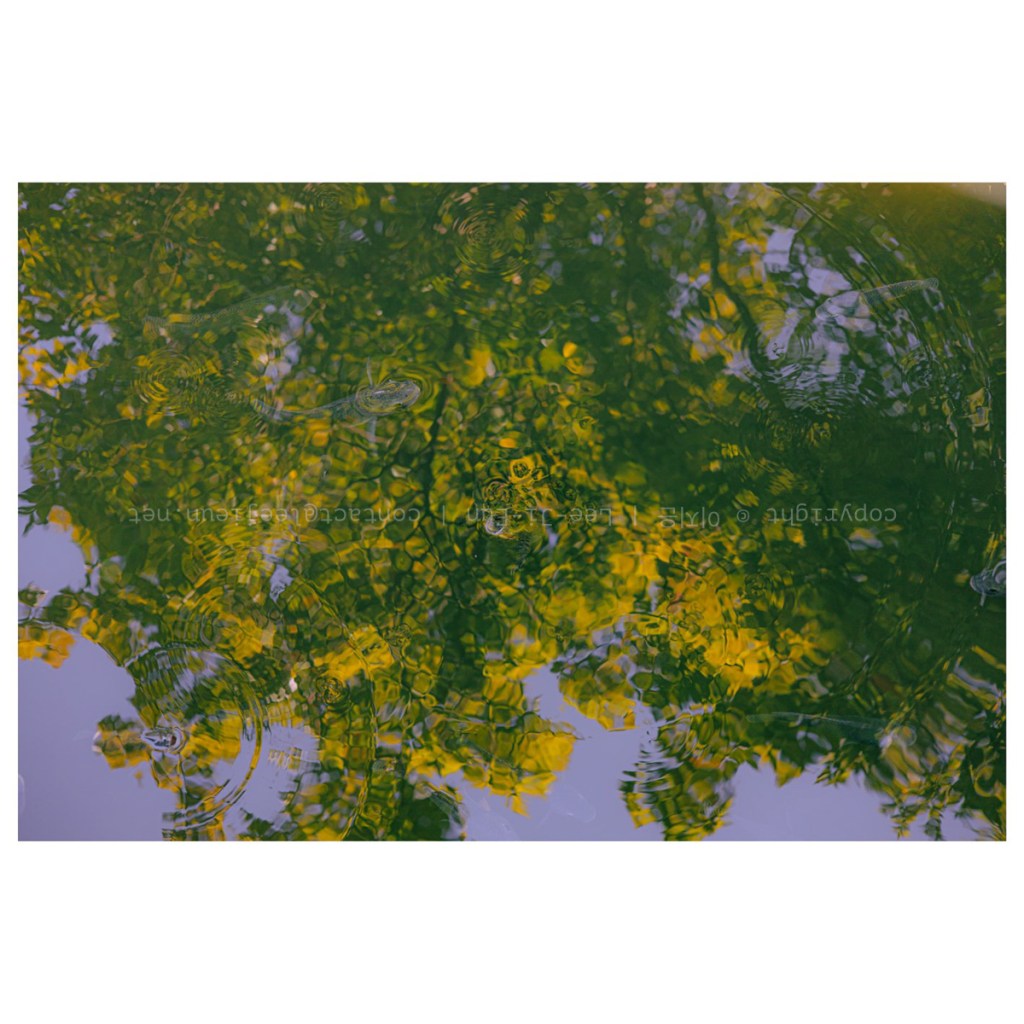 #044. Taipei 02-2: 야자수와 난초꽃과 모자이크 연못