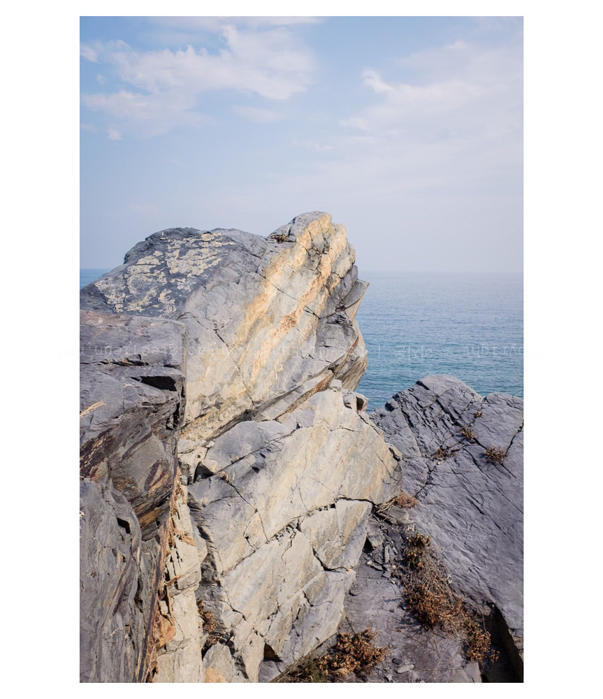 #101. 조금 머뭇대는&nbsp;중