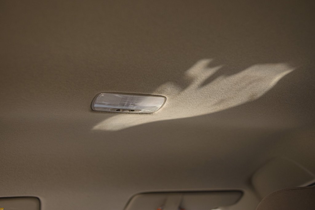 #110. 14년 7월 방콕: 햇빛 조각 줍기 / 율리아 슈네처 (2021)의 <상어가 빛날 때 When Sharks&nbsp;Shine>