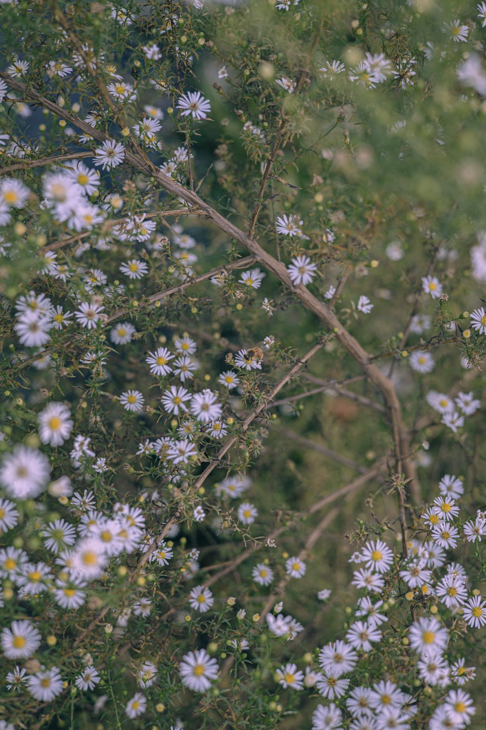 #012. 학교가는 날