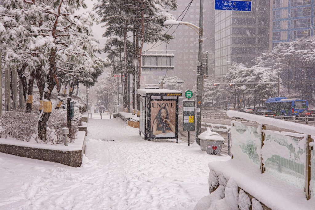 #098. 나는 앞으로 뭘&nbsp;찍을까?