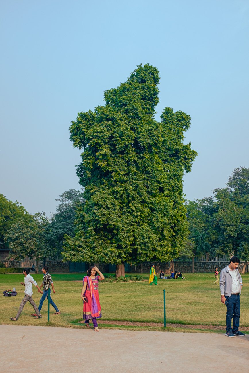 #142. 식물과 초록 셀렉중 (4): ‘15.6-‘16.6 우리사이의&nbsp;초록