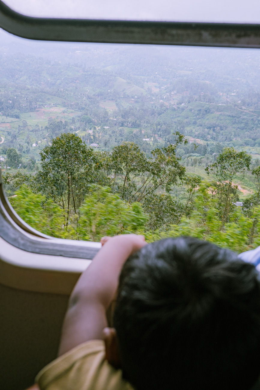 #159. 식물과 초록 (20): 19년도 스리랑카 4 / 나의 새 질문! 이 사진은 “Sensory Photos”에 얼마나 핏이&nbsp;맞는가?