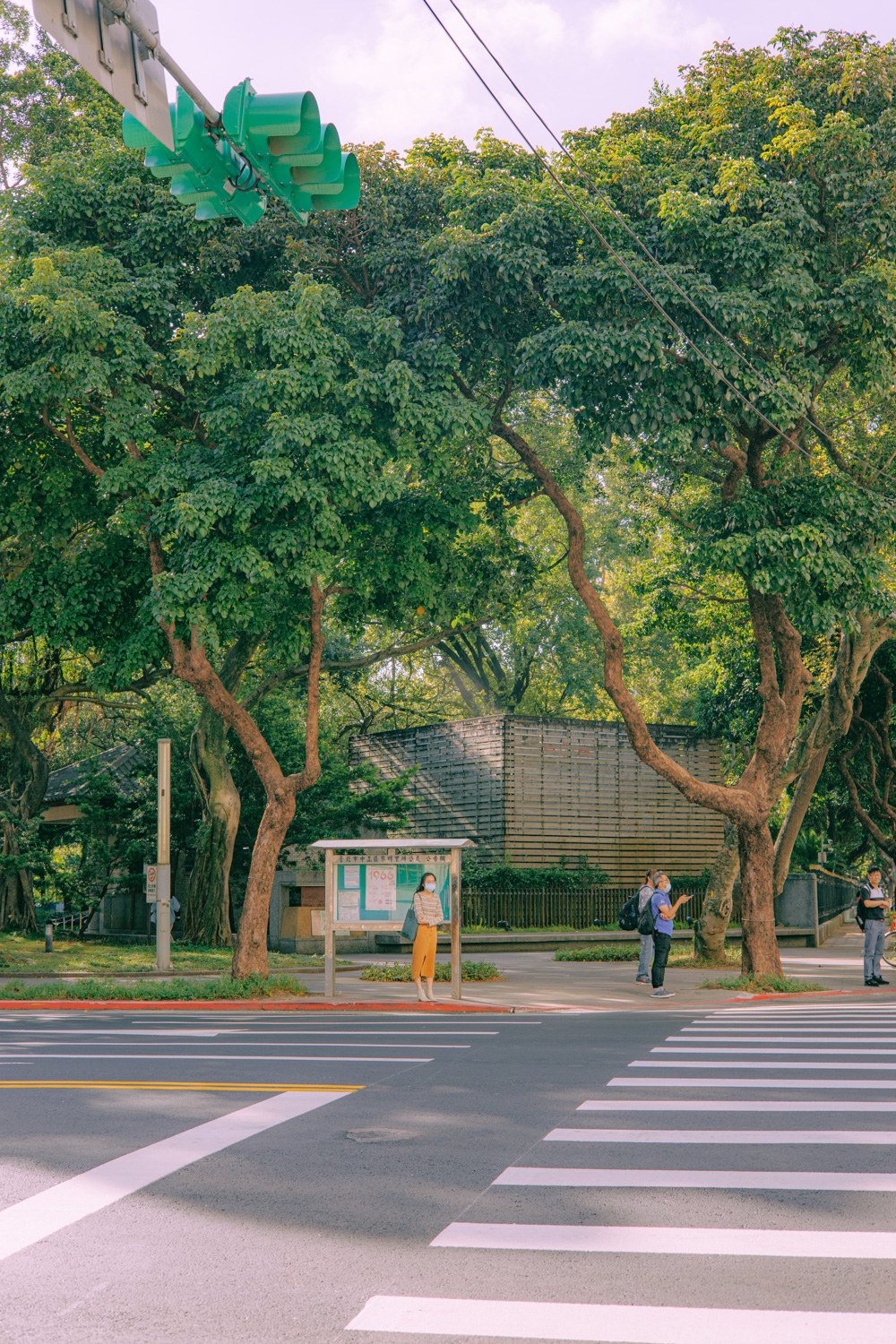 #181. 식물과 초록 (31): 23년 타이페이 4 / 스스로&nbsp;상호작용