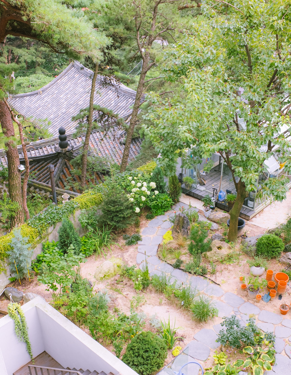 #162. 식물과 초록 (23): 20년도 여름과 겨울 / 오늘 새벽 외할머니의 임종을&nbsp;지켰다