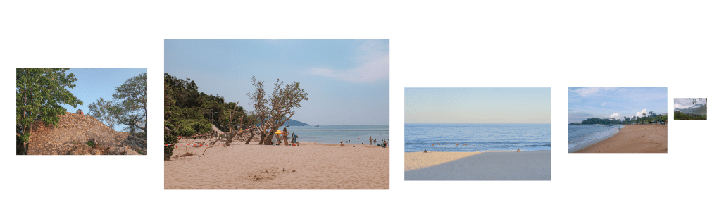 #203. 식물과 초록 (51): 꼴라쥬 7. 〈 물의 평화 〉 사진과&nbsp;연결!