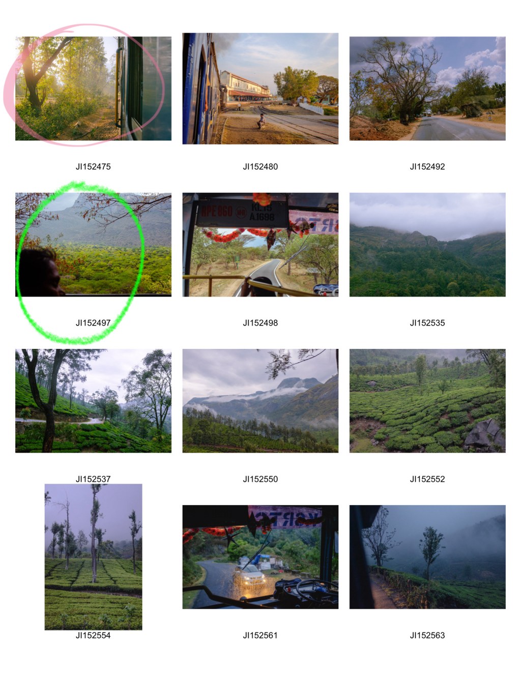 #189. 식물과 초록 (37): 앞서했던 생각에 얽매여 앞으로 못나가지는&nbsp;말자