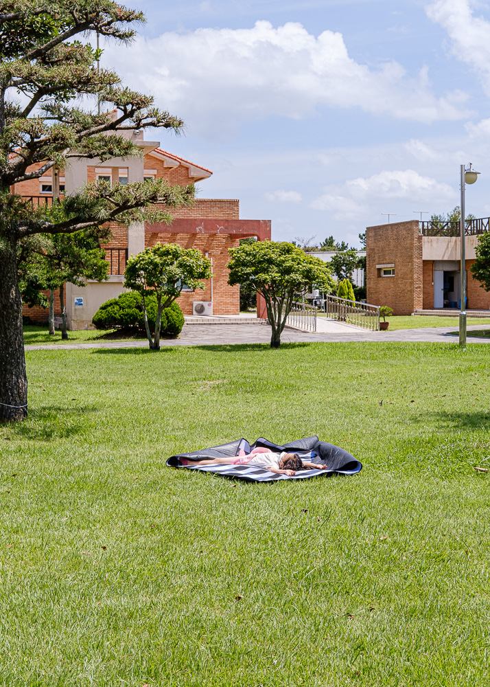 #275. 빛나는 햇빛 (67): 2022년 여름&nbsp;제주.