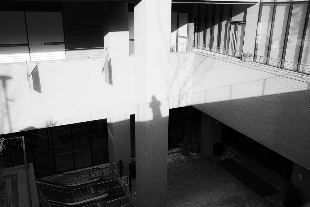 #272. 빛나는 햇빛 (64): 2020년 초&nbsp;남산산책.