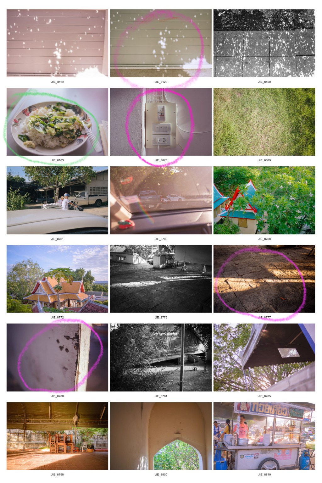 #290. 빛나는 햇빛 (81): 밀착 셀렉&nbsp;1차.