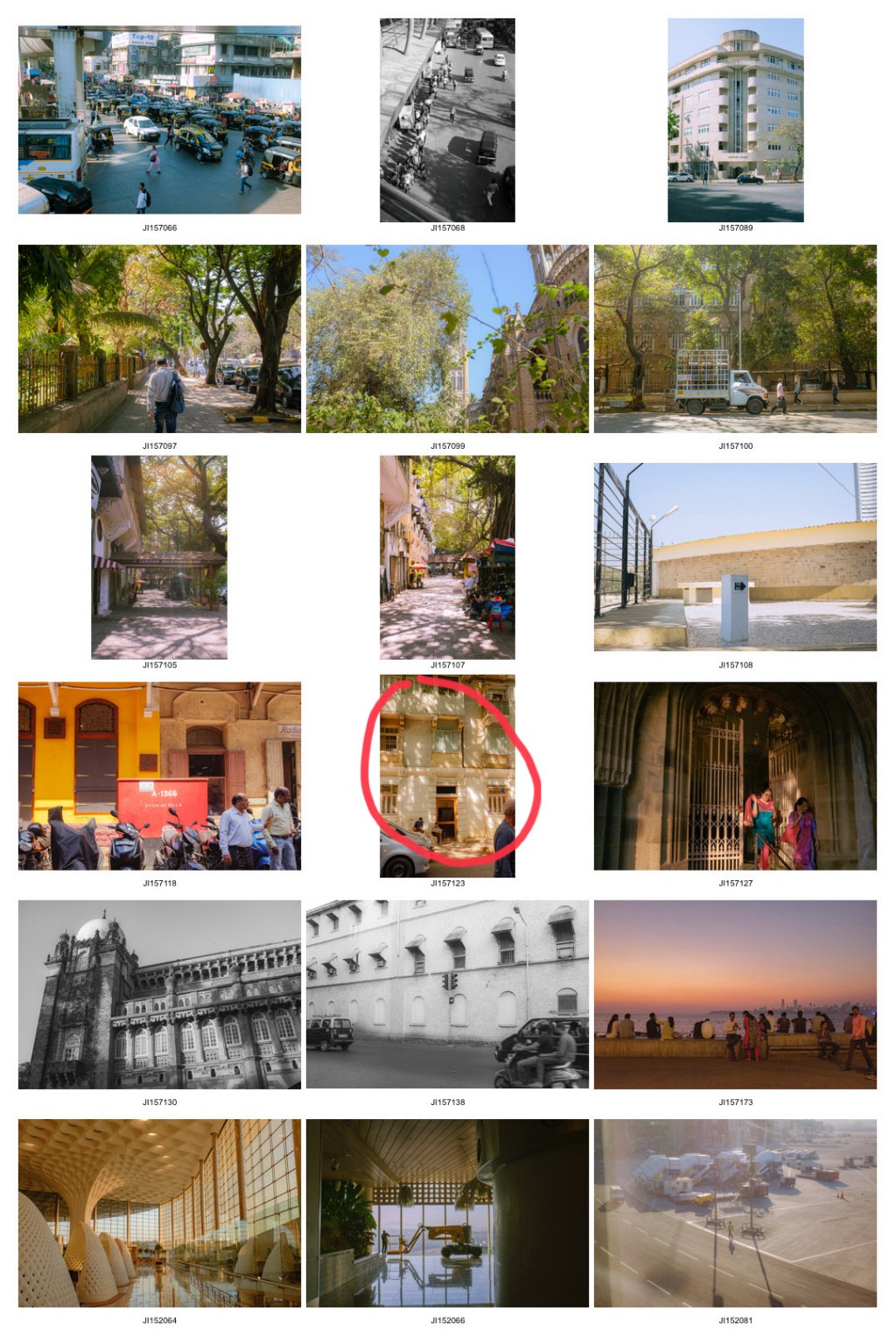 #291. 빛나는 햇빛 (82): 밀착 셀렉&nbsp;2차.