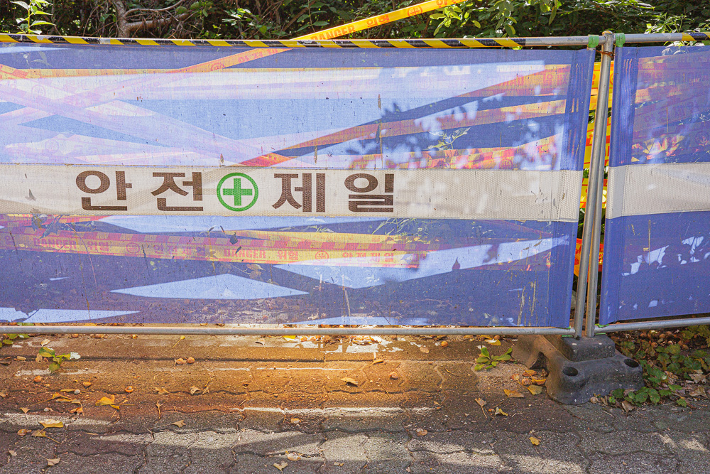 #282. 빛나는 햇빛 (74): 2023년&nbsp;가을.