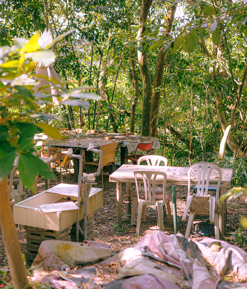 #286. 빛나는 햇빛 (78): 2023년 11월. 타이페이 중심가. 햇빛중심 재셀렉. 시리즈&nbsp;마지막.