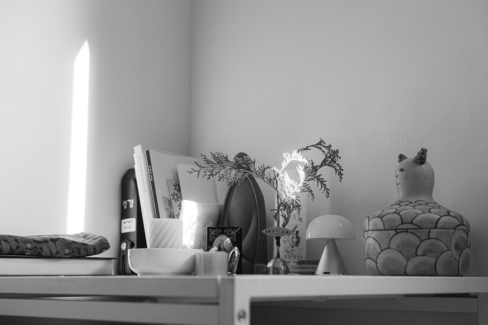 #278. 빛나는 햇빛 (70): 2022년 연말까지. 실내로 들어온 일광. 마시기 시작한 찻물, 썰어놓은 토마토, 쉬고 있는 흰 고양이의 몸을 덮치는&nbsp;빛.