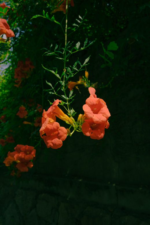 #306. 대흥로 동네&nbsp;한바퀴