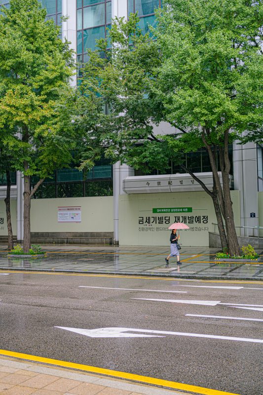 #312. 2024년 9월 둘째주 생활사진