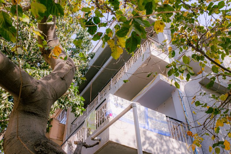 #308. 빛나는 햇빛 (87): 재셀렉 4군. 햇빛 닿은&nbsp;도시.