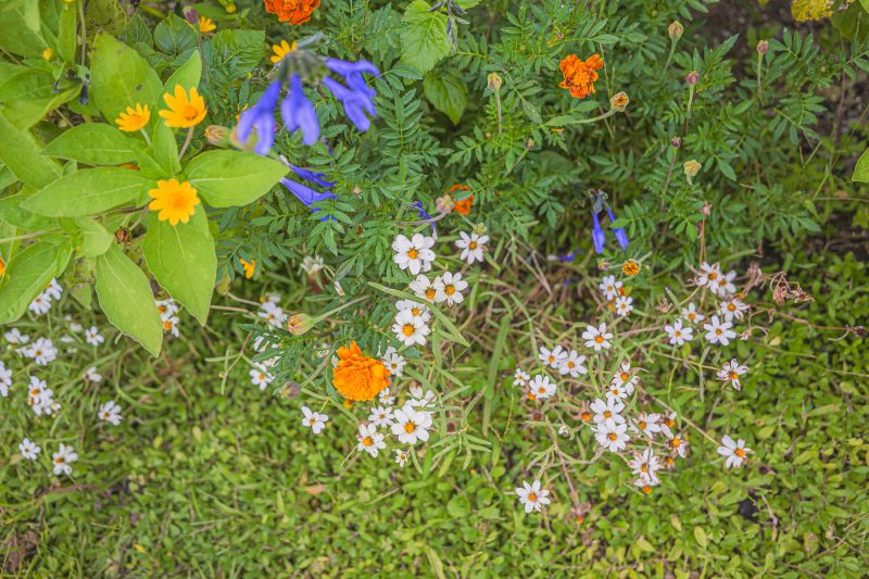 #318. 생각하며 살아.