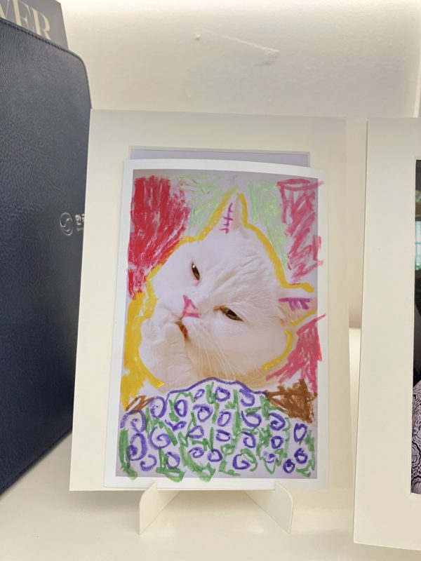 #325. 사진관 일기: 사진 채색놀이 워크샵 + 촬영실 프레임 사용한 아이디어 등