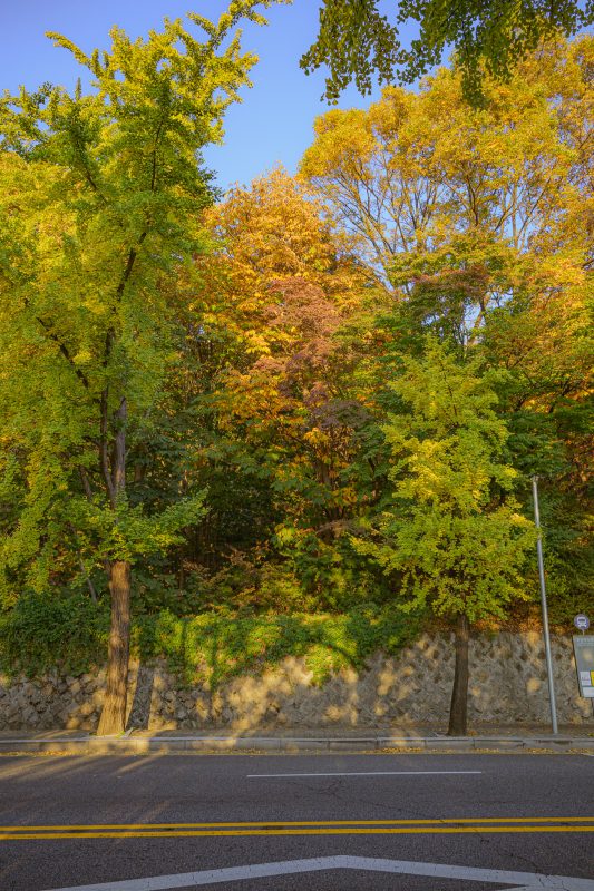 #334. 환대에 대하여