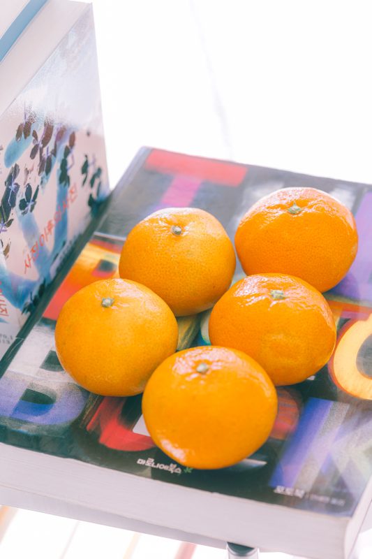 #337. 월요일이 지나가네. (+매체 보도)