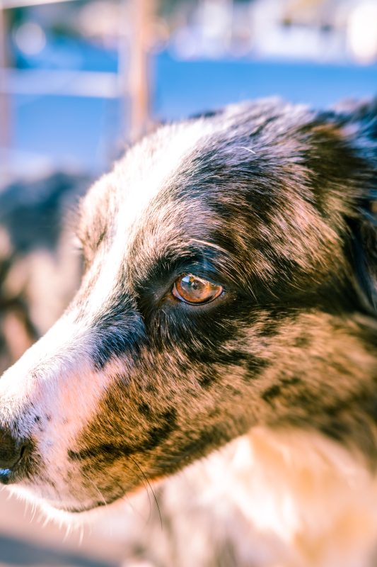 #342. 잠깐 기차여행&nbsp;(2)