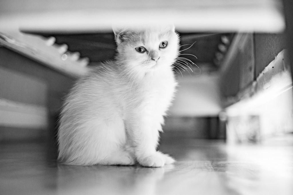 #344. 쓰지 않으면 아무것도 진행되지 않는구나. + 10년 전 지도교수님의 사진관&nbsp;깜짝방문.