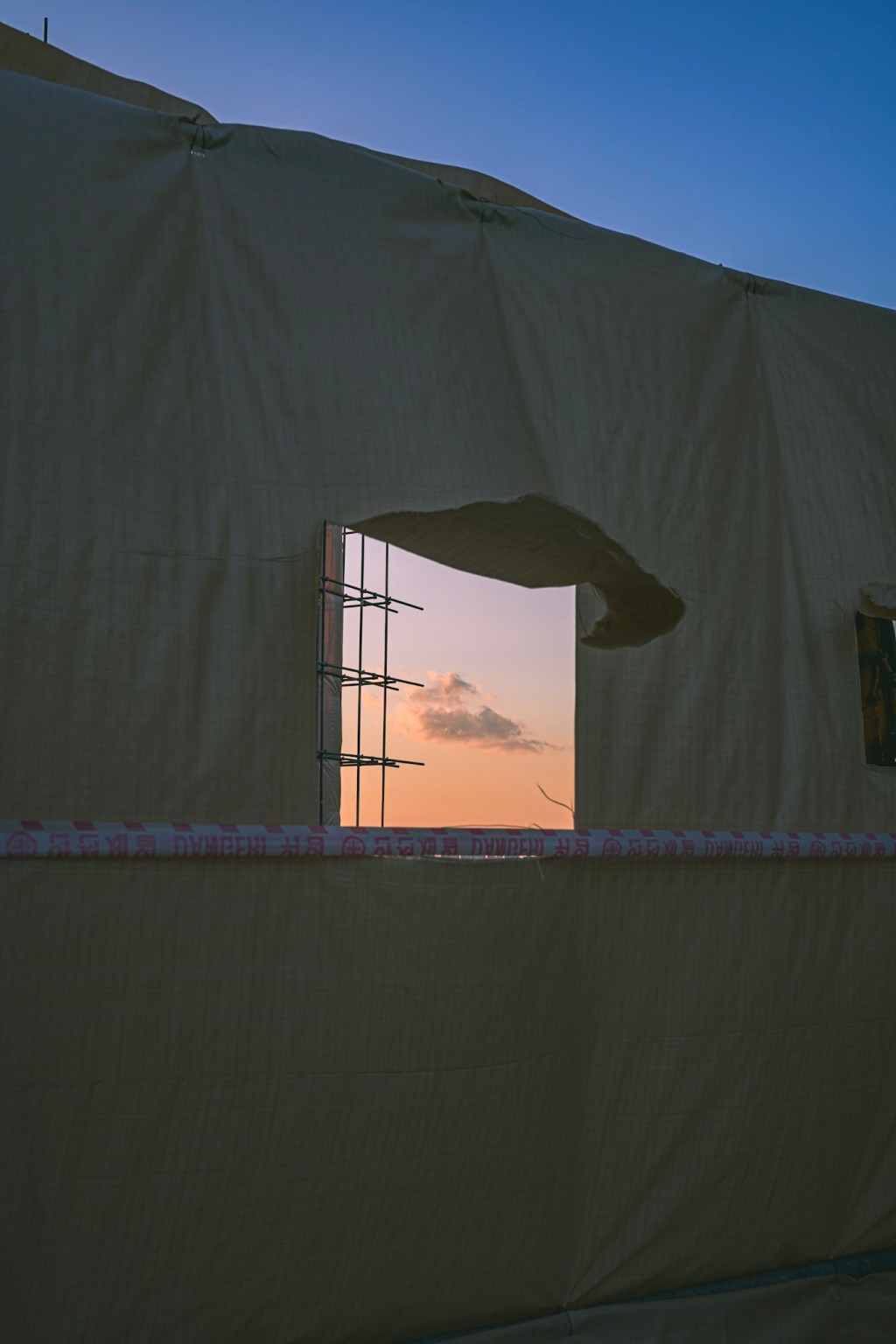 #349. 2월 첫주 산책사진 + 유리컵 바닥을 통해 보기 + 사진고르기 월드컵을 해야할지도&nbsp;몰라