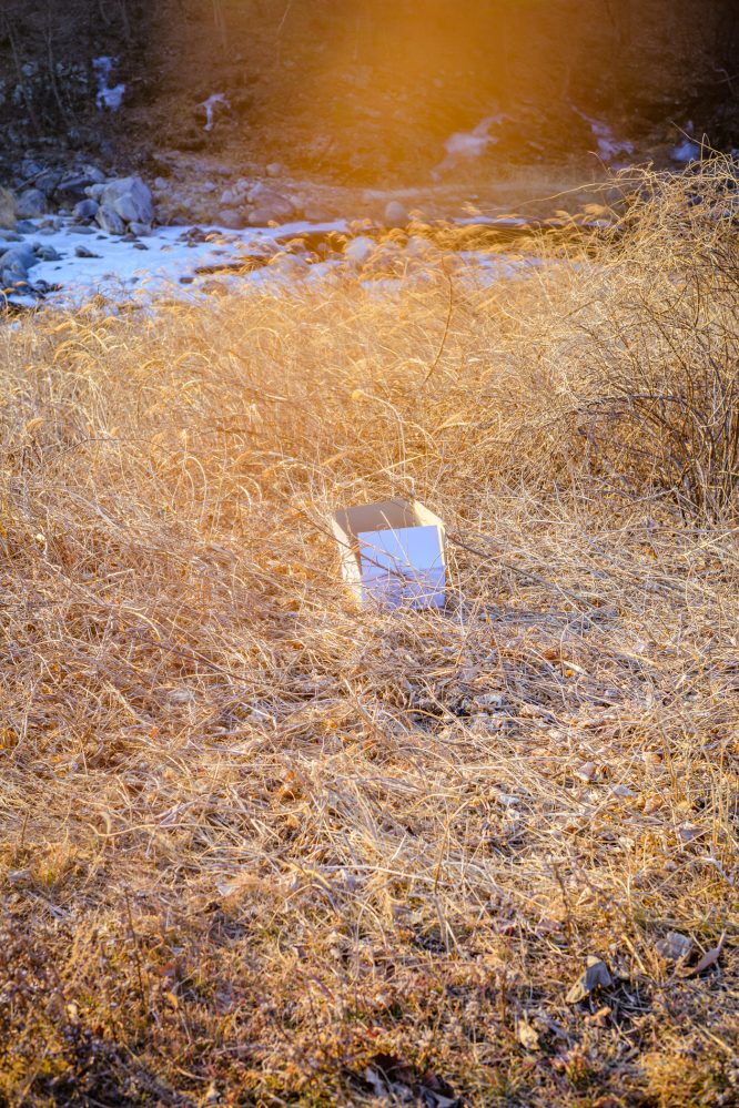 #356. 짧은 강릉여행의 사진 + 첫 어려운 손님 (별개인&nbsp;얘기다)