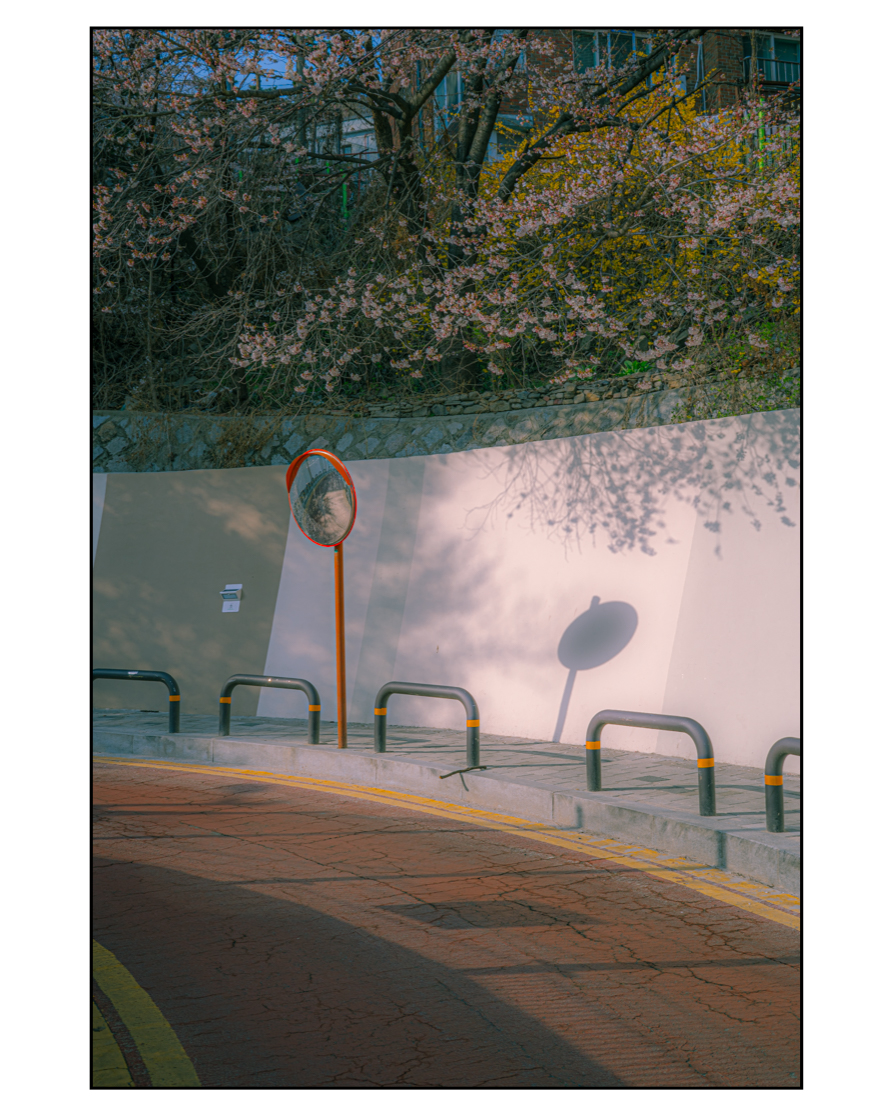 #361. 이른봄 서울 자전거&nbsp;산책