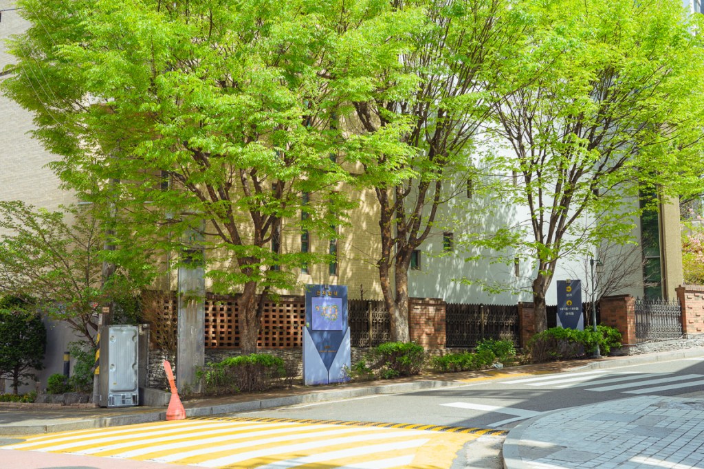 #368. 글을 쓰면 생각이 이어진다. 생존전략의 고민과 안녕하고 평화로운 오늘에&nbsp;감사하며.